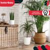 Plastic Flower Pot for Flowers and Herbs on the Balcony or Terrace, White, 15 cm, 2 pcs.
