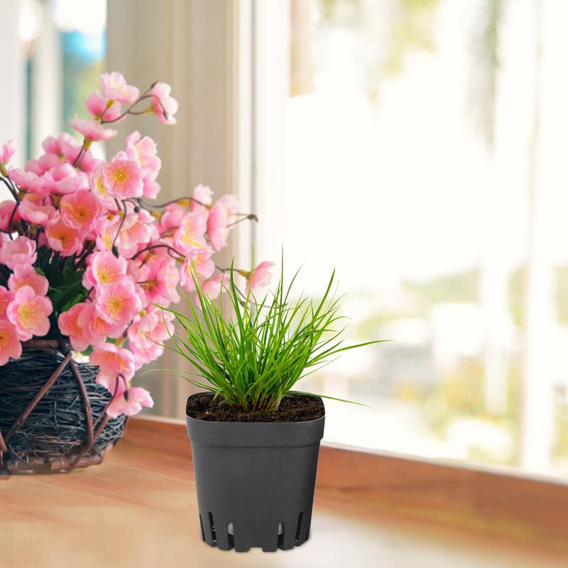 Pots For Seedlings 50pcs Square Reusable Seedling Cups Starter Pots Seedling Pots With Drainage Holes Gardening Kit Nursery Pot