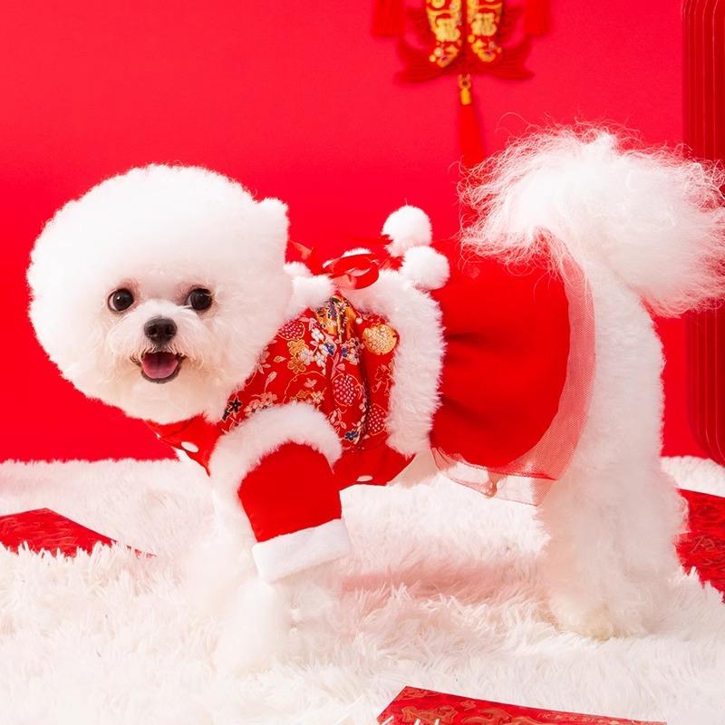 New Year's clothes velvet warm two-legged vest teddy bear small dog Tang clothing New Year's greeting pet skirt