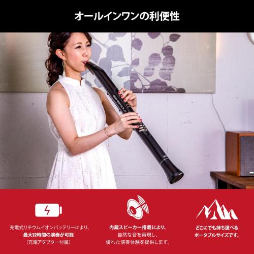 Akai Professional EWI Solo Wind Synthesizer, Electronic Wind Instrument with Built-in Speaker and 200 Voices