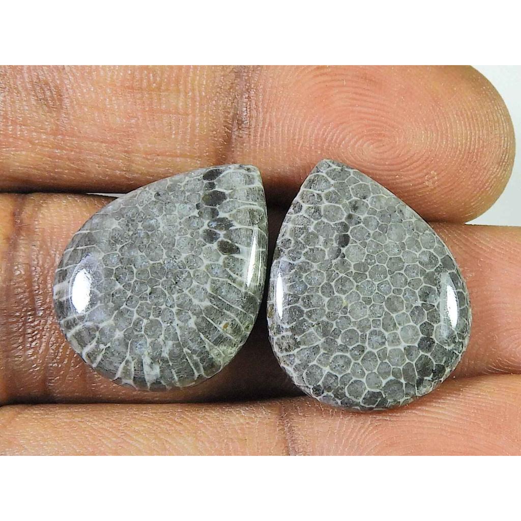 23.70Cts. Natural Black Fossil Coral (17mm X 21mm each) Cabochon Match Pair SK-2505