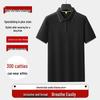 Polo Manches Courtes Grande Taille pour Homme