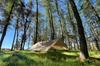 DD Hammocks DD Tarp 4x4 Official Japanese Product (MC)
