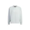 Sportswear Z.N.E. Sweatshirt Logo 'Light Grey' Men's IQ1376