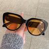 Cat Eye Shape Sunglasses Women European American Fashion Stylish Female Sun Glasses Holiday Travelling Woman Sun Glass