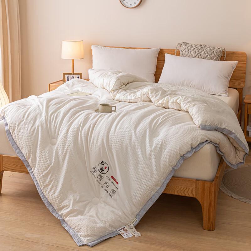 Plover Soybean Fiber Warm Quilt