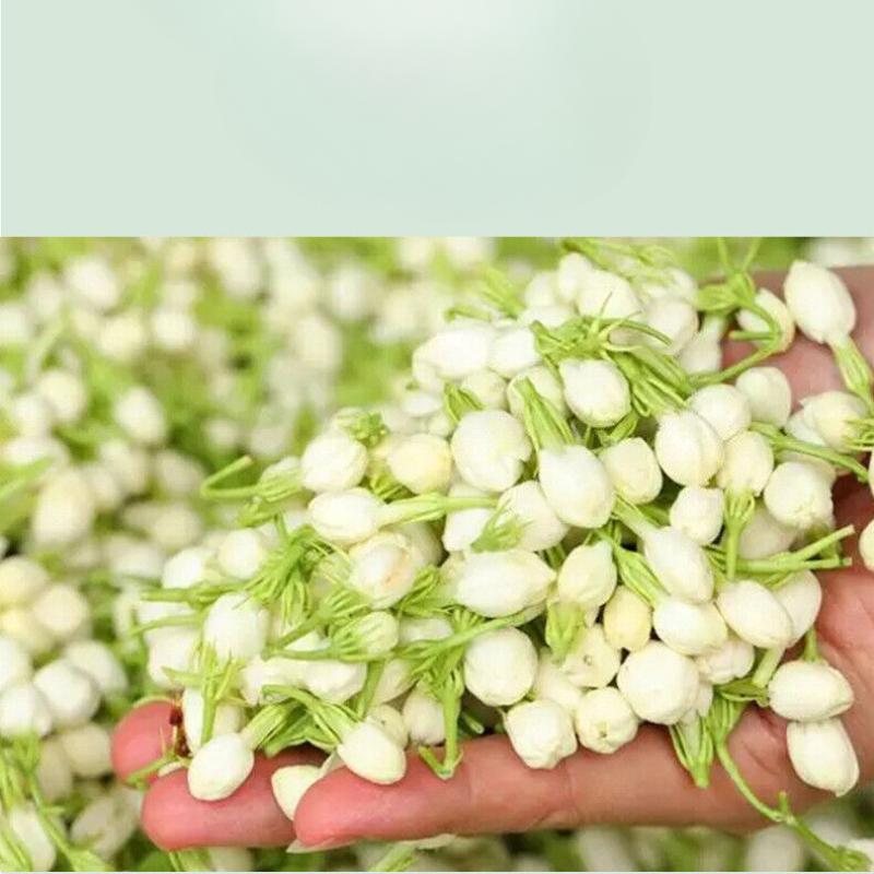 2023 Ceai nou Frunze de ceai de iasomie Ceai verde în vrac, cu parfum puternic, tip cutie