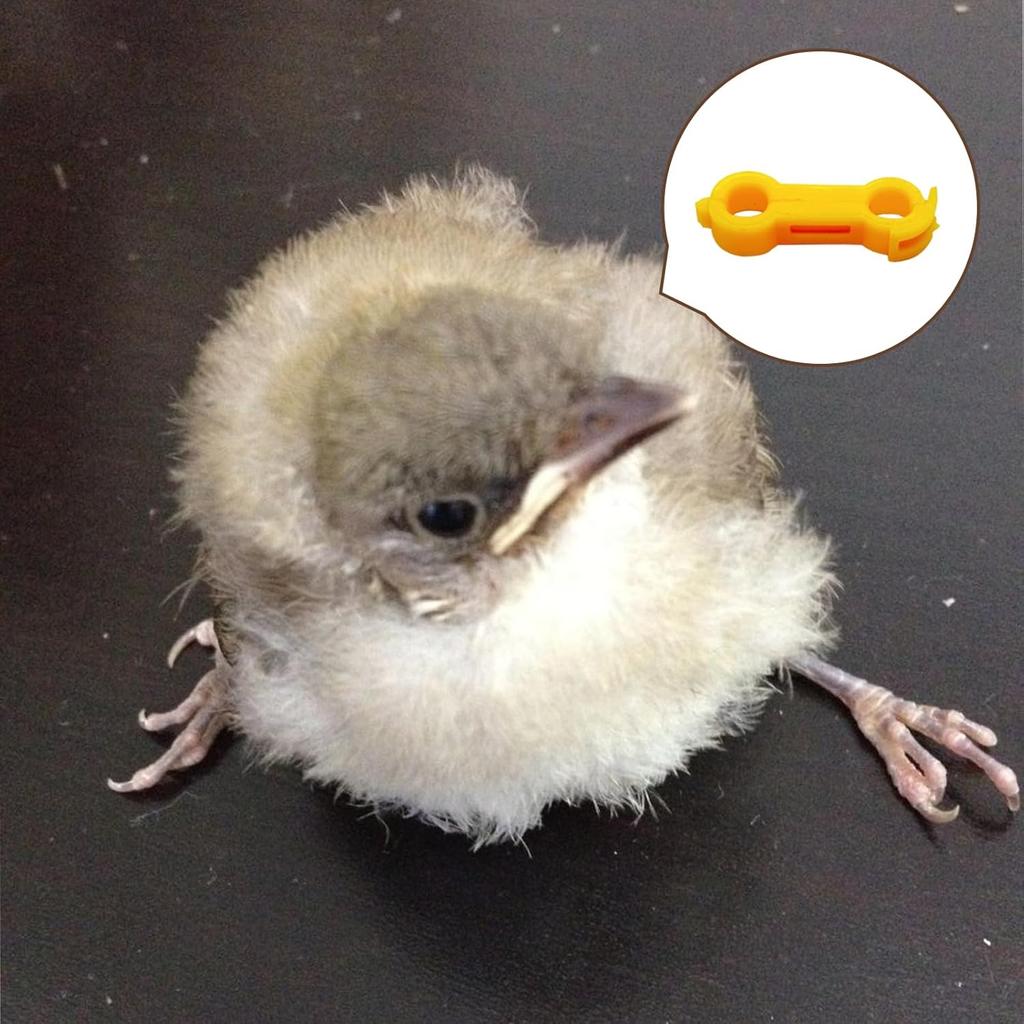 12Psc Baby Chick Splay Leg Hobble Brace, Baby Chick Leg Hobbles, Poultry Leg Bands, Chicken Hobble Braces for Newborn Spraddle Leg of Chick Quails
