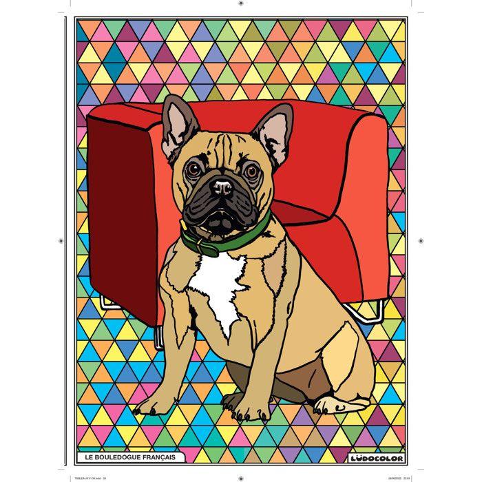Tableau Velours à colorier Le Bouledogue français