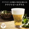 Toyo Sasaki Glass Craft Beer Clear Glass, 310ml, (B-38102-JAN-BE)