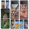 Telefon kapları – Smartphone Bumper Kılıflar