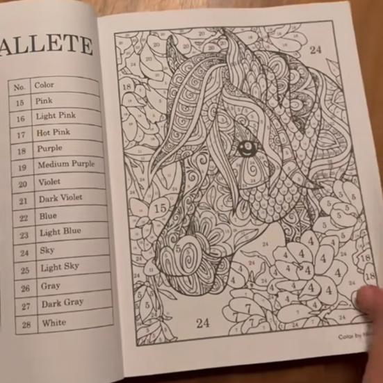 Color by Number for Adult 75 Beautiful Pictures Anxiety Therapy Coloring Book for Relaxation Stress Relief