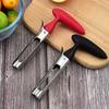 Stainless Steel Multifunctional Apple Corer & Pitter