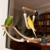 1 Set Hängende Vogelleiter Brücke Langeweile Linderung Saugnapf Papagei Kletterstange Bissfest Rutschfest Vogel Schaukel Spielzeug