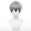 Short Anime Character Cosplay Perfect for Comic Market Cultural School and Other Includes Wig Gray/Black Wig, Accessory, Heat-Resistant Wig, Events,