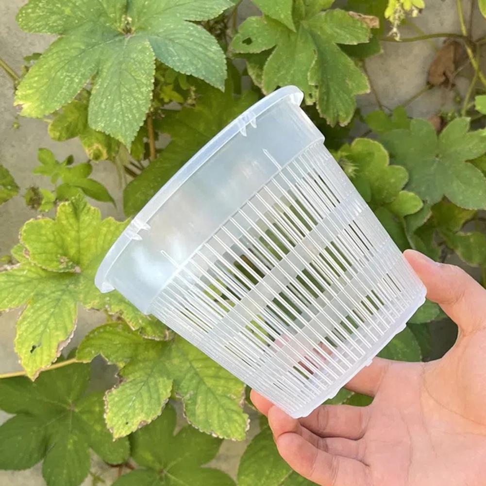 Clear Plastic Pots Saucers Guides Root Growth Internal Air Circulation
