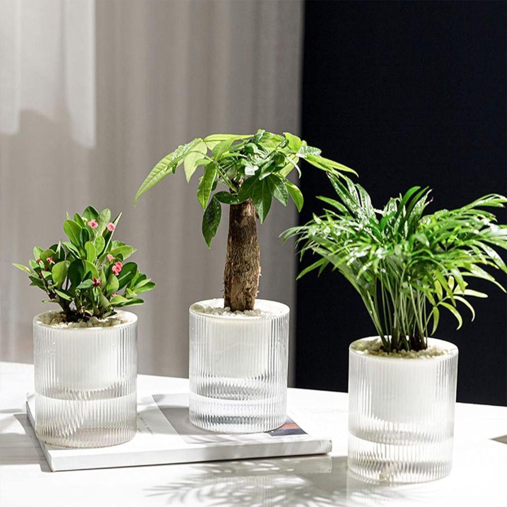 Transparent Hydroponic Planter Plastic Water Storage Flower Pot Durable Potted Flower Pot Garden
