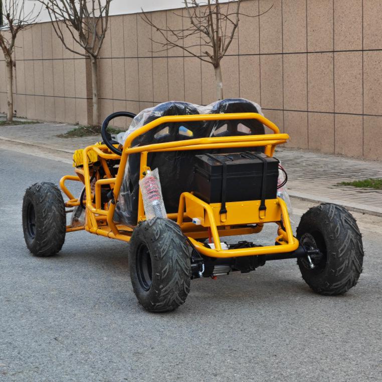 New 800W Electric All-Terrain Two-Seater Kids & Adult Beach Buggy Kart ATV/UTV