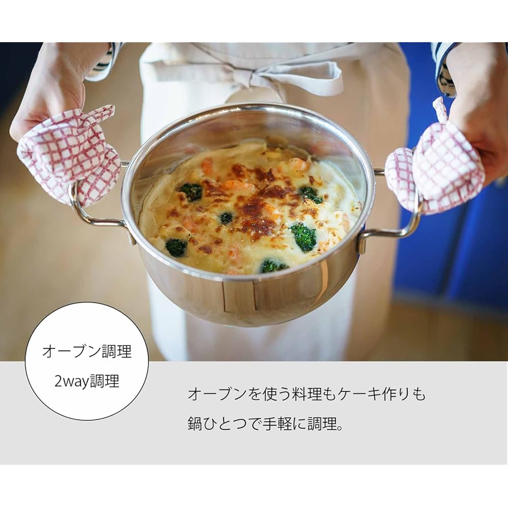 Miyazaki Seisakusho Geo Double-Handled Pot 20cm Made in Japan IH Compatible All Heat Source