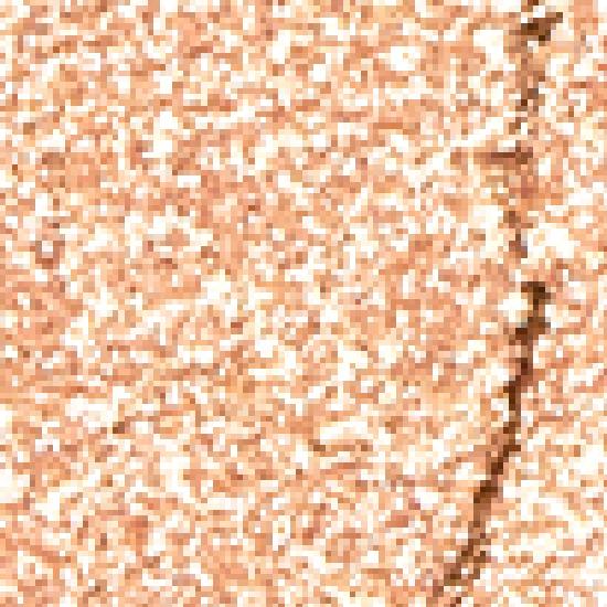 HOLIKA HOLIKA My Favorite Peace Eyeshadow/Gel Tail/Peace Beam/Peace Balm