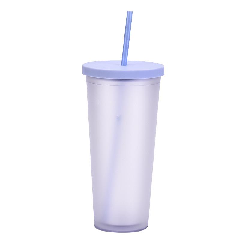 Double-Layer Plastic Straw Cup, Matte Cup, Outdoor Sports Water Cup