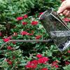 1400ml Gießkanne für Pflanzen im Freien mit langem Ausguss Edelstahl Große Gießkanne für Gartenblumen Pflanze