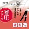 High below the tight stocking wide elastic set of 3 nude beige [Atsugi] socks, socks, knee, fit, socks, band, plain, pairs, FS6611, women's,