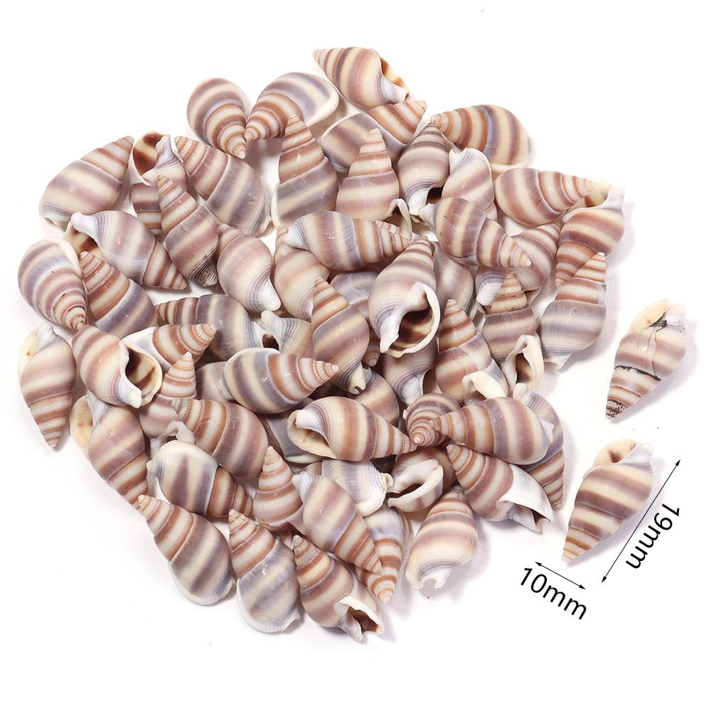 40g/bag Sea Shell Beads Tiny Conch Beads Undrilled Natural Shell Beads For Jewelry Making DIY Crafts Ornament Home Decoration