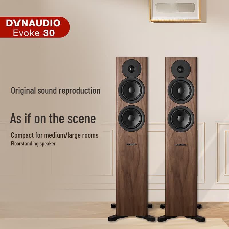 Dynaudio Evoke 30 HiFi Passive Floor-standing Speakers (CN version)