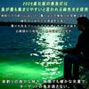 [2026 extension type/USB powered type] Fishing light USB green underwater