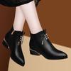 Small Leather Shoes New Single Shoe British Style Versatile Women's Pointed Thick Heel Plush Women's Shoes