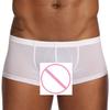 Mens Sexy Solid Ice Silk Pouch Pants Underwear Soft Briefs Panties Underpants