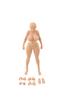 K Toys Scale Action Voluptuous Female Normal Skin 1/12 Figure, Body, KT02B,