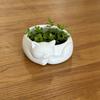 3D Printed Sleeping Cat Bowl, Cute Cat-Shaped Decorative Bowl for Pet Food, Succulent Planter, Jewelry Storage, Home Decor Gardening Gift,home Decor