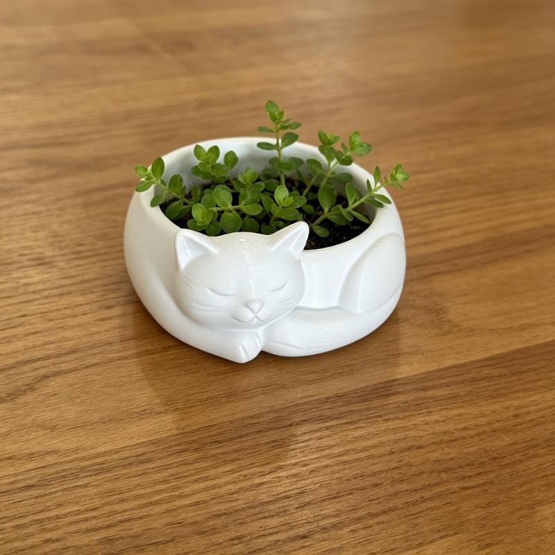 3D Printed Sleeping Cat Bowl, Cute Cat-Shaped Decorative Bowl for Pet Food, Succulent Planter, Jewelry Storage, Home Decor Gardening Gift,home Decor