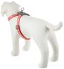 Doggyman Footbone 8 Harness, Orange, for Medium Dogs, Size 20