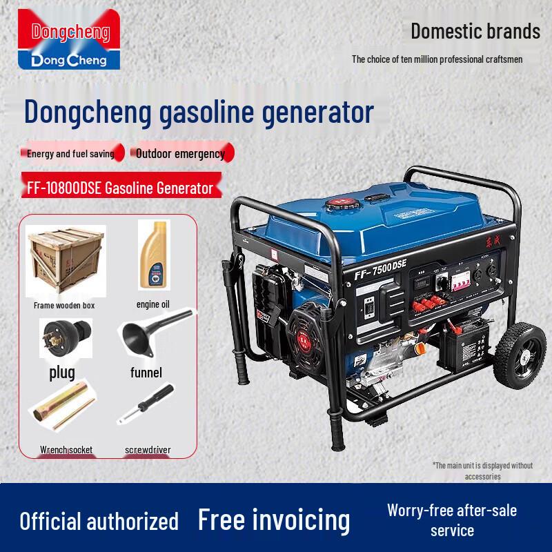 Dongcheng FF-10800DSE Gasoline Generator CN plug (adapter included)