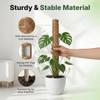 Stackable Potted Plant Climbing Coconut Sticks Vine Support Expansion Houseplant Gardening Supplies Multipurpose Gardening