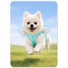 Luxurious Angel Wings Puppy Harness Set Lightweight Adjustable POM Buckle Pet Vest Chest Strap for Small Dog Cat Daily Walking