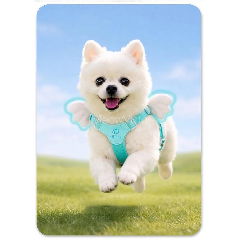 Luxurious Angel Wings Puppy Harness Set Lightweight Adjustable POM Buckle Pet Vest Chest Strap for Small Dog Cat Daily Walking