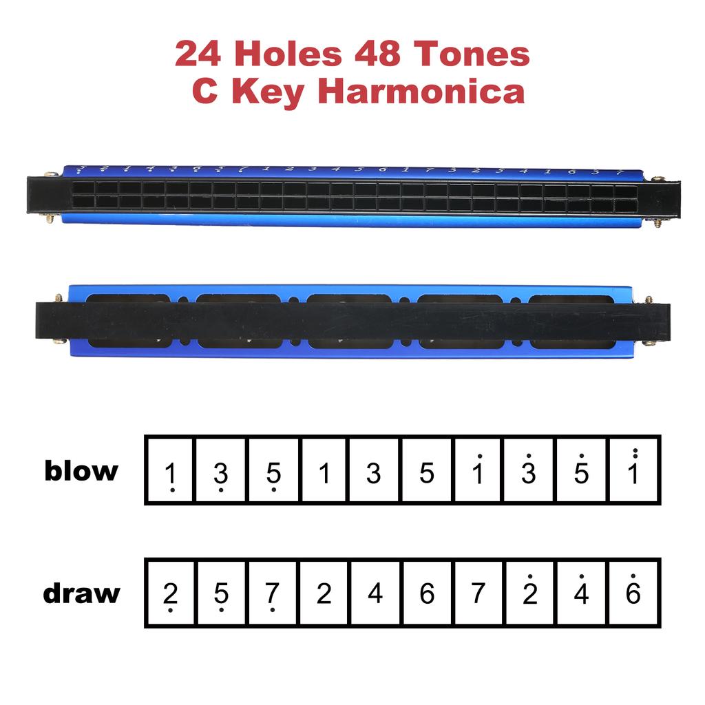 Harmonica Professional Harp Armonica Key of C 24 Hole Polyphony Diatonic Mouth Organ with Case for Blues Folk Jazz Pop