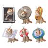 Porta-moedas, clips, porta-chaves – Chaveiros