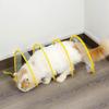 1 Foldable Spring Tunnel for Cats