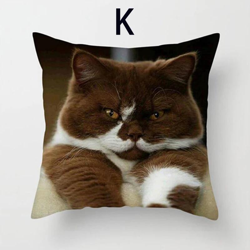 Cushion Cover Cute Cat Pattern Square Pillowcase Zipper Birthday Gift Sofa Home Hotel Decoration 45*45Cm