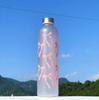 1L Butterfly Style Water Bottle, Gradient Matte Plastic Sports Flask, Anti-Slip Leak-Proof Gym Thermos with Stainless Steel Lid