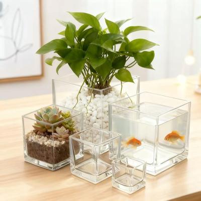 Vissen en zeedieren – Aquarium decoratie