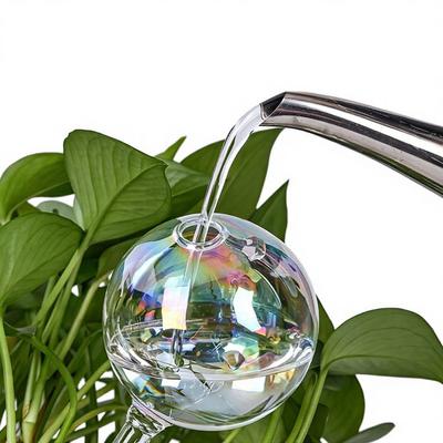 Household Ball Flower Watcher Plug Borosilicate Glass Modern Minimalist Clear Watering Can with Drip Irrigation China