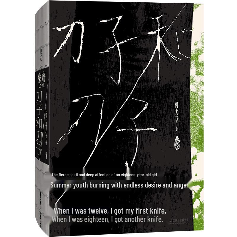 Diverse Fiction Novel Collection