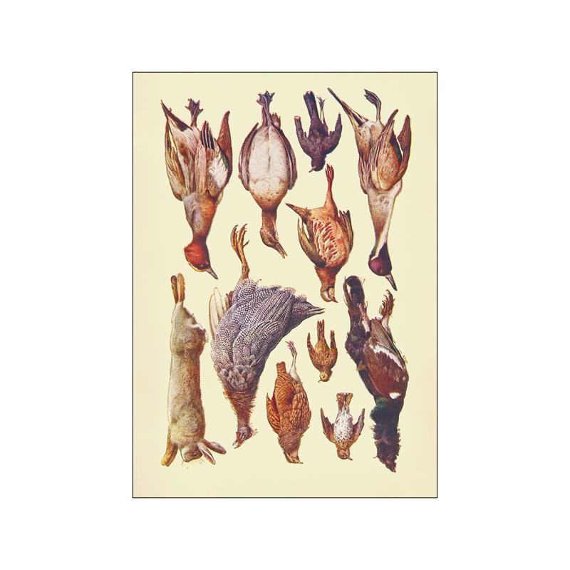 Pop bunte Tiere Fisch Poster ästhetische Fischarten Illustration Skizze Leinwanddruck für Wand Kunst Home Dekoration Raum Dekor