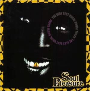 

CD VARIOUS SOUL PLEASURE YPFC1009 Japan Music Others Used